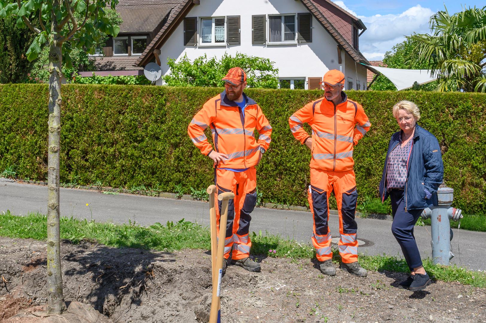 Reichenau 1300 Linde Latschariplatz Deggelmann (2 von 12)