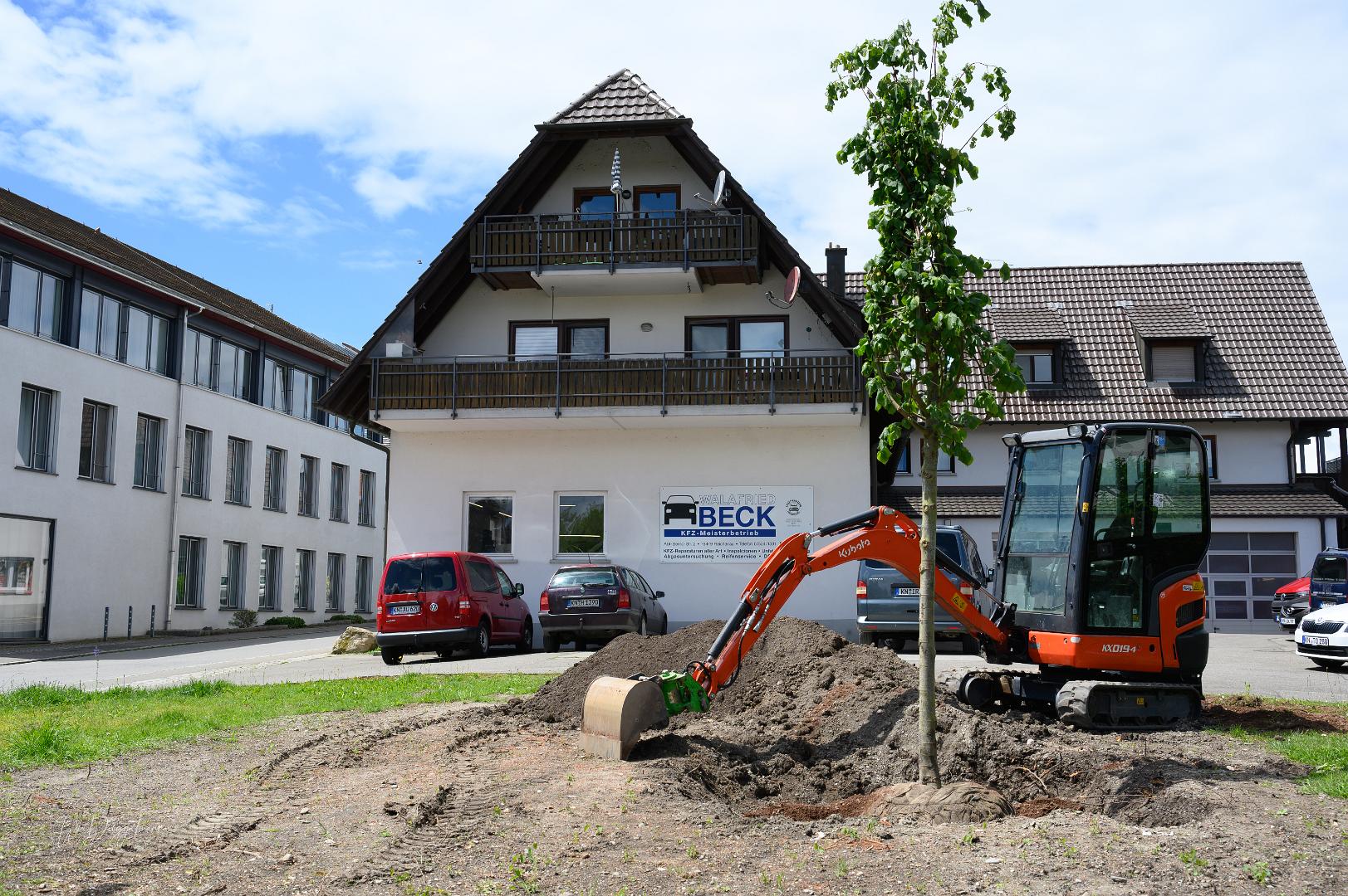 Reichenau 1300 Linde Latschariplatz Deggelmann-7196