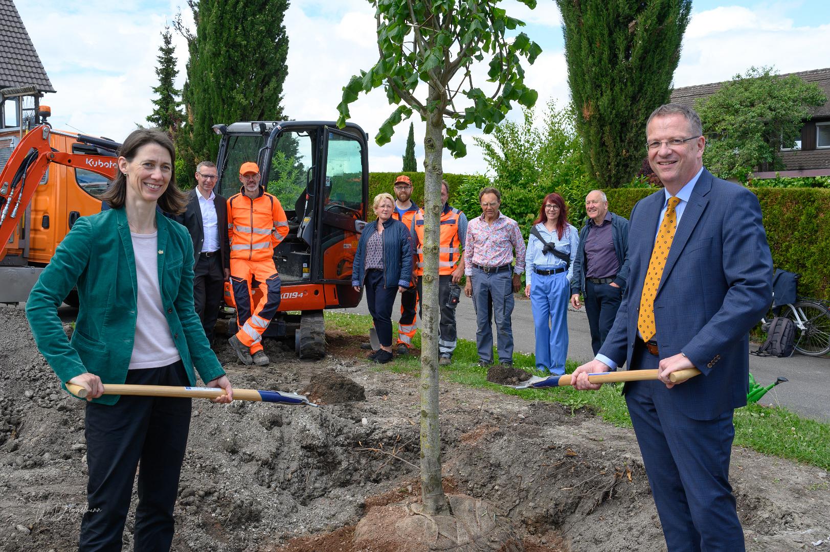 Reichenau 1300 Linde Latschariplatz Deggelmann-7244