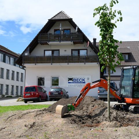 Reichenau 1300 Linde Latschariplatz Deggelmann-7196