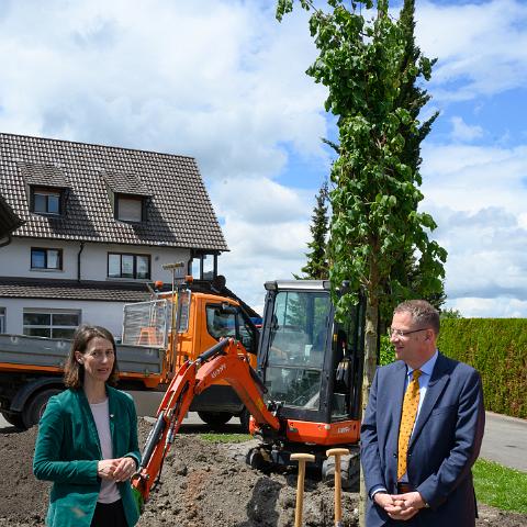 Reichenau 1300 Linde Latschariplatz Deggelmann-7232