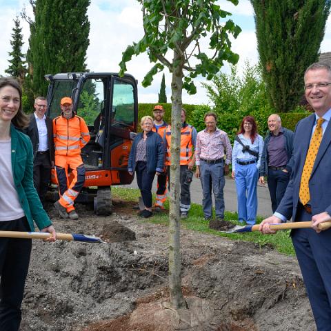 Reichenau 1300 Linde Latschariplatz Deggelmann-7244