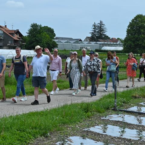 Reichenau 1300 Genusswandern Koch 5