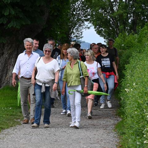 Reichenau 1300 Genusswandern Koch 8