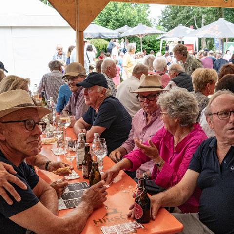 Reichenau1300-Eine Insel macht Musik-Deggelmann-9205