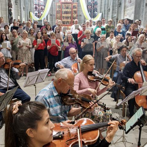 Reichenau1300-Eine Insel macht Musik-H.Koch-0703